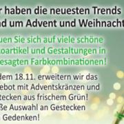 Advent- und Weihnachtstrends